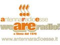 Antenna Radio Esse